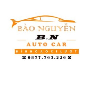 Bảo Nguyễn Auto